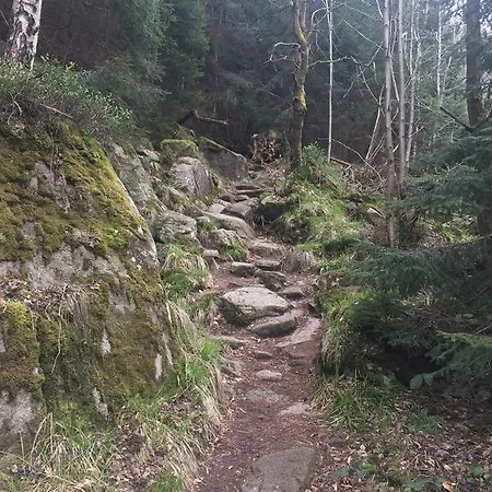 Blockhaus An Der Skiwiese Nyaraló Braunlage
