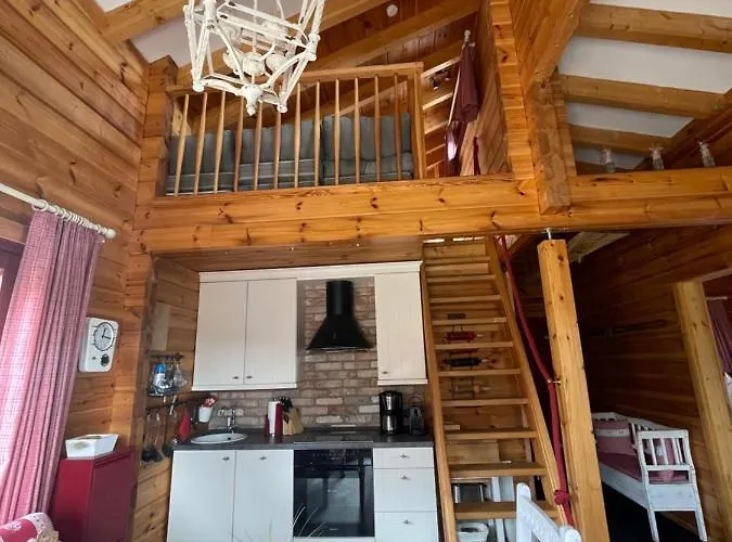 Blockhaus An Der Skiwiese 布劳恩拉格