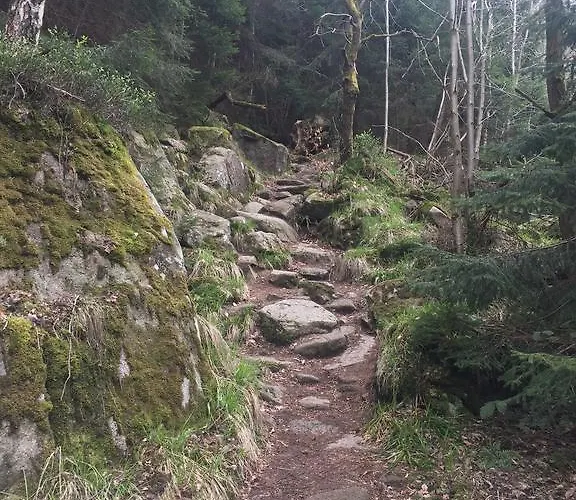 Blockhaus An Der Skiwiese 度假居 布劳恩拉格